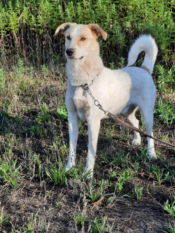 Bob ❤️ cerca casa  Foto 6