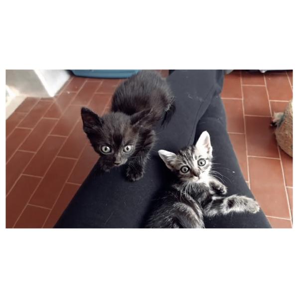 Piccolo Sid E Piccola Nancy 