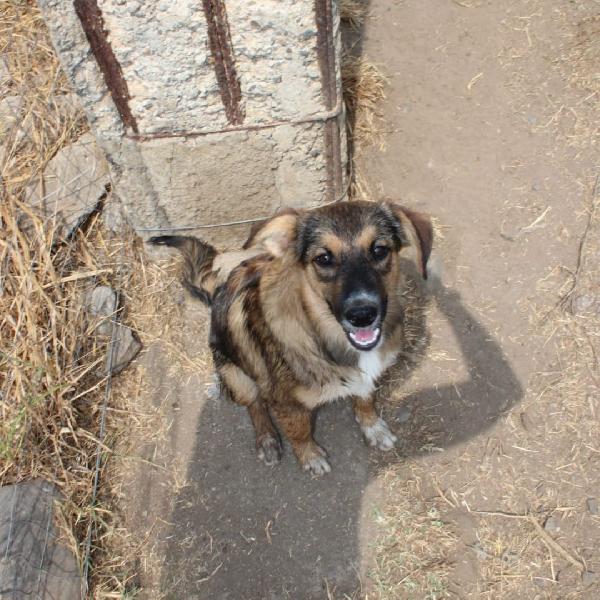 Brenda🐾💞🏩 Foto 4