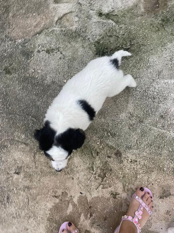 TAKO Foto 7