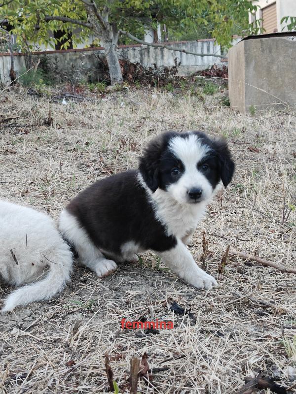 Milly  Foto 2