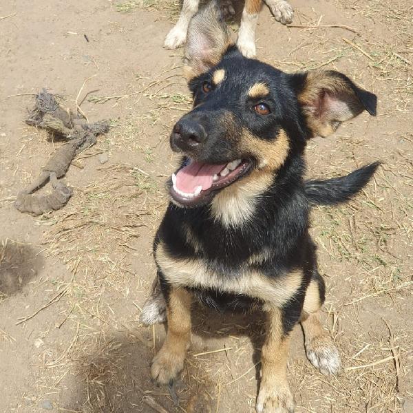 Ada🌹🐾🌹 Foto 3