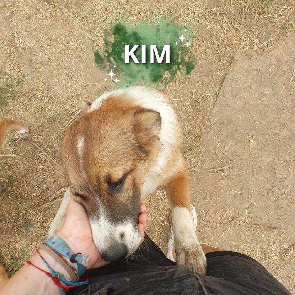 Kim💖🍬🧸