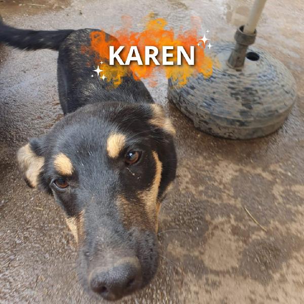 Karen🐾