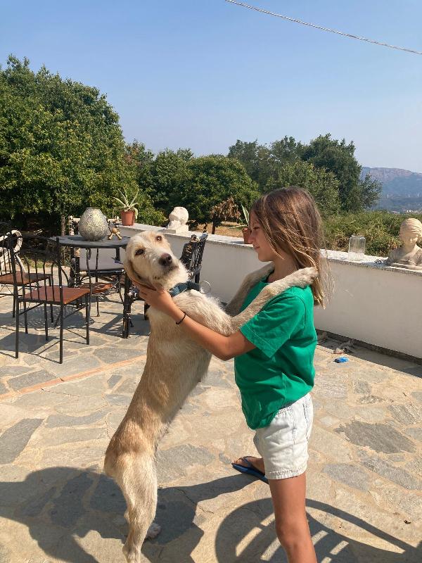 💕🐾 spina 🐾💕 tenera dolce simil spinoncina in adozione  Foto 4