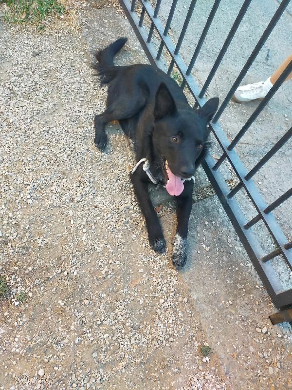 Charlie Foto 4