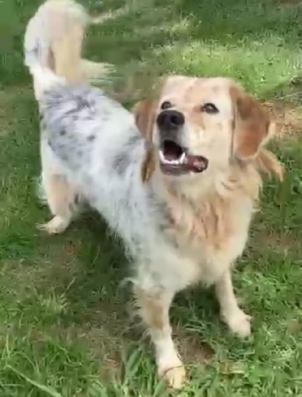 9anni in splendida forma, 5anni di lager! Napoli Foto 5