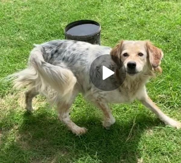 9anni in splendida forma, 5anni di lager! Napoli Foto 6