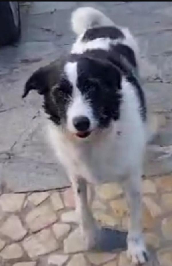 Mara 6Anni Dopo Anni Di Lager È Rinata. Napoli 