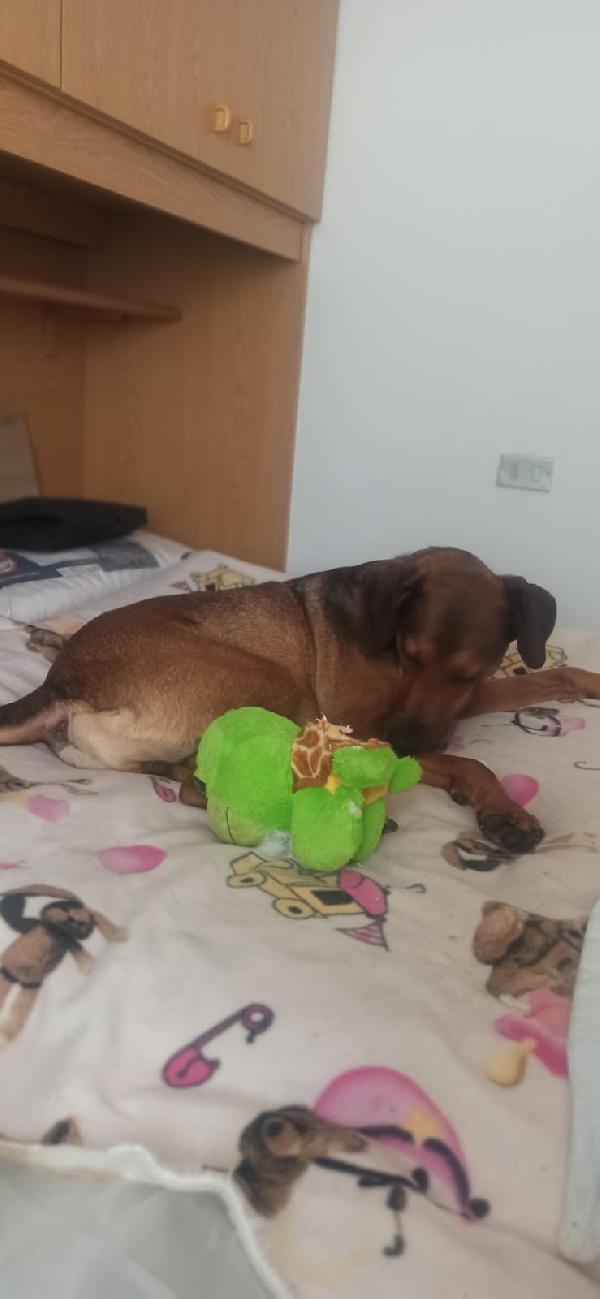 💙 TYLER – NON LASCIA-TEMI INVISIBILE! 💙 Foto 3