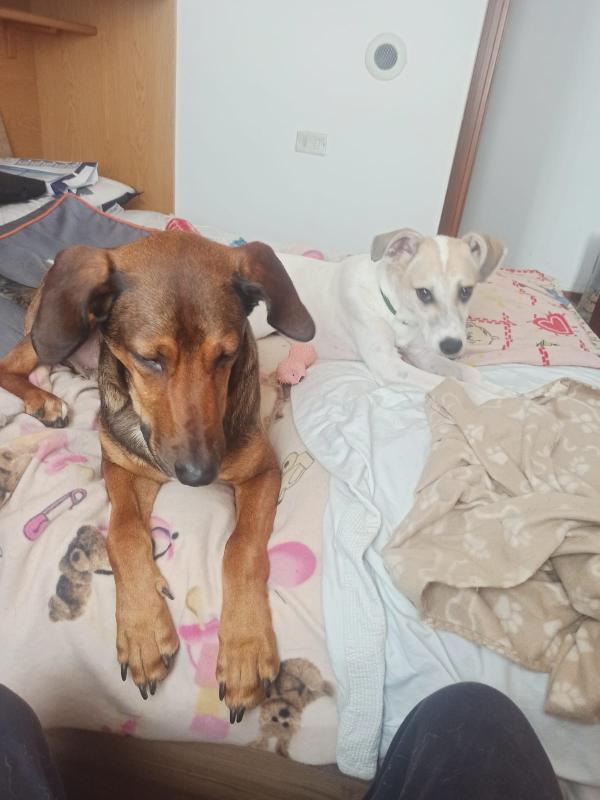 💙 TYLER – NON LASCIA-TEMI INVISIBILE! 💙 Foto 8