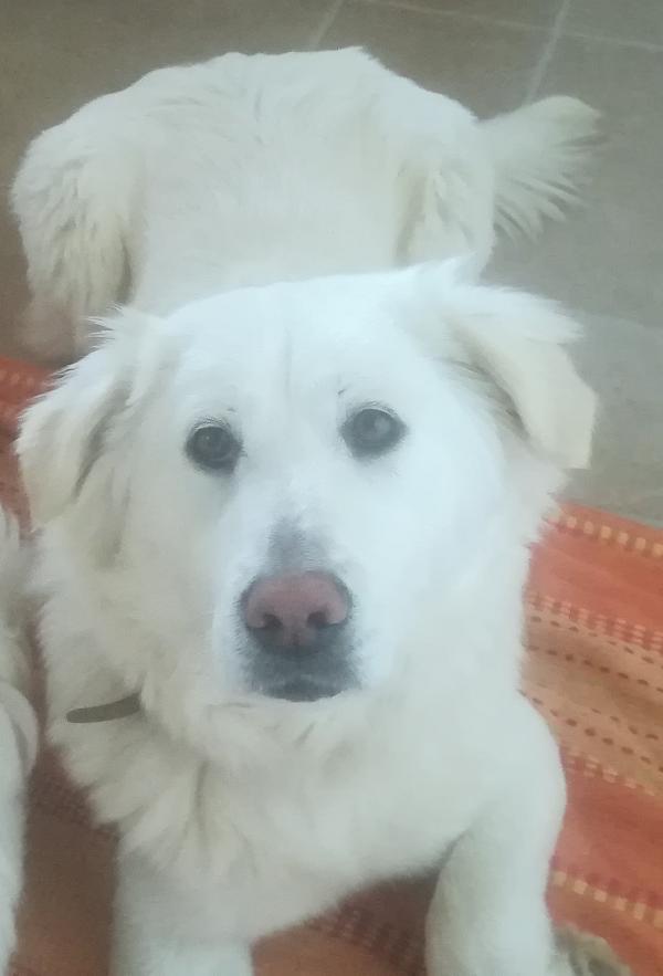 Belle Foto 5