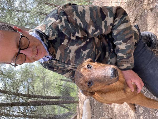 Pepito merita la libertà  Foto 6