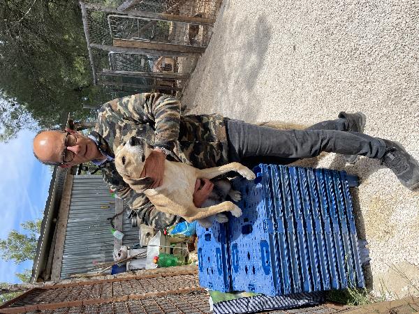 Pepito merita la libertà  Foto 8