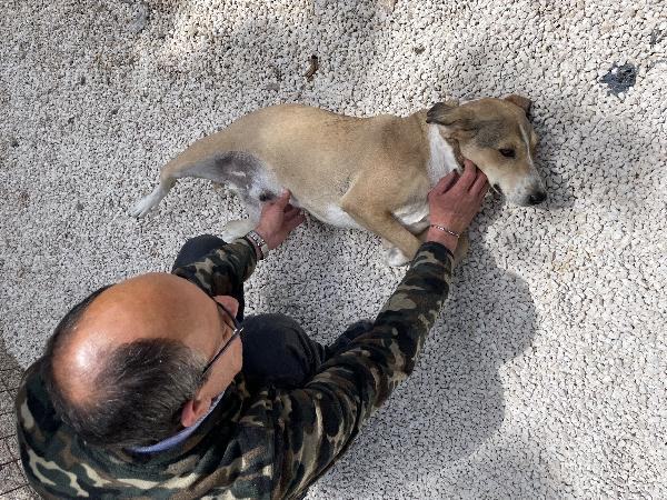 Pepito merita la libertà  Foto 10