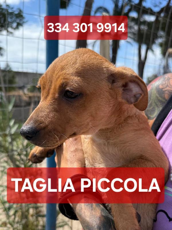 Ricky..aspetta La Sua Famiglia 