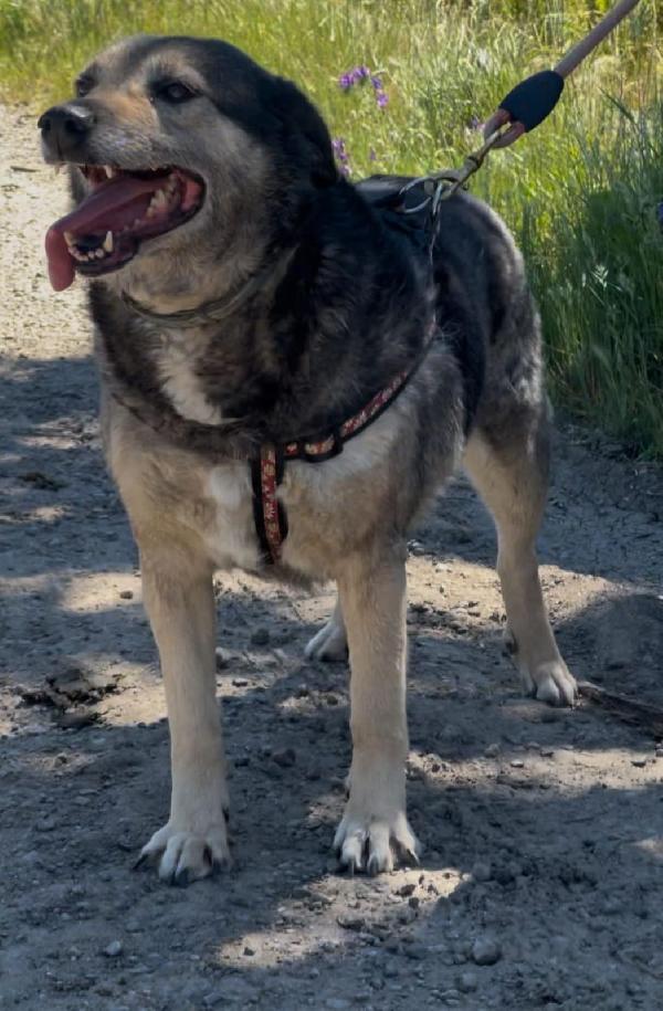 Molly...❣️💞 Foto 3