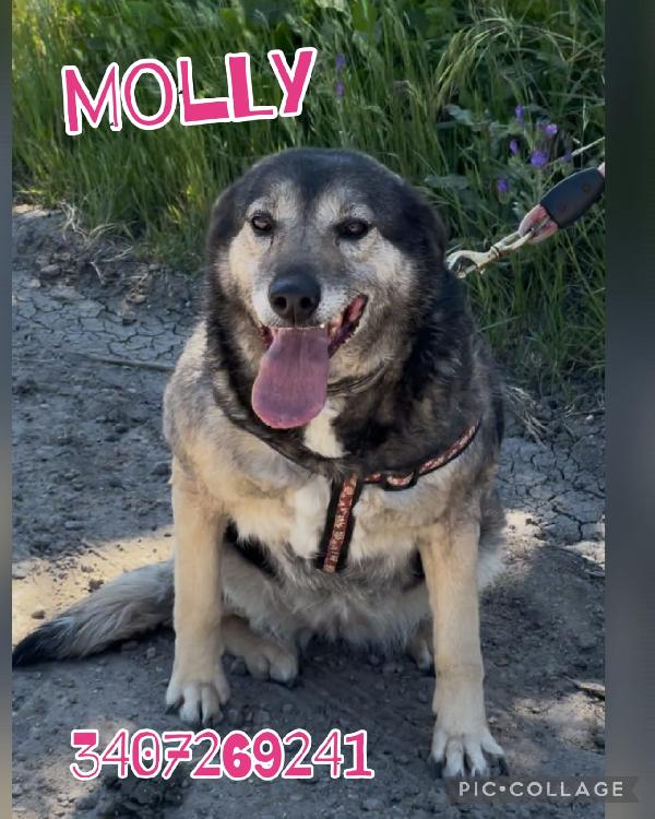 Molly...❣️💞 Foto 5