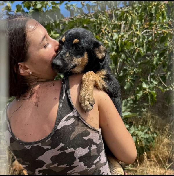 Ada: cucciola allegra e giocherellona  Foto 3