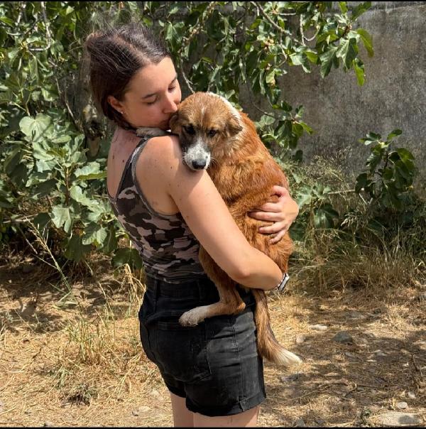 Kim: cucciola tenera e socievole  Foto 3