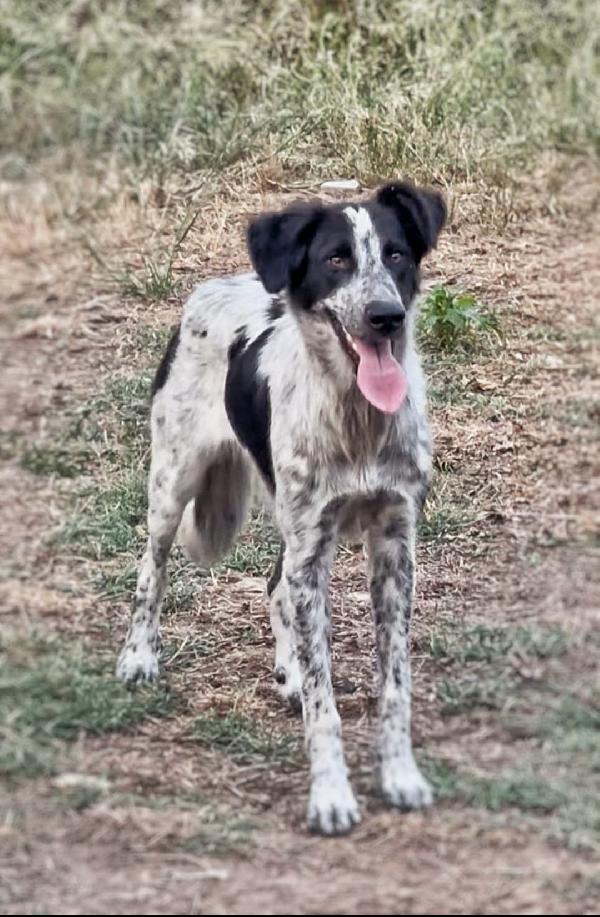 Serena: timida e dolce  Foto 3