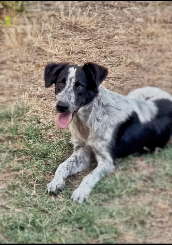 Serena: timida e dolce  Foto 4