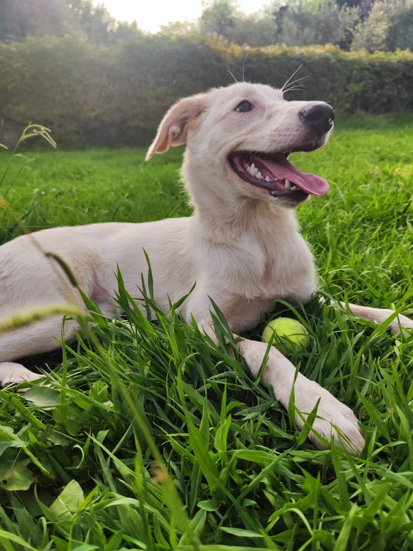 PerlA Foto 5