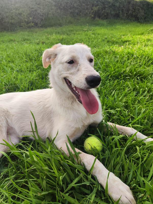 PerlA Foto 6