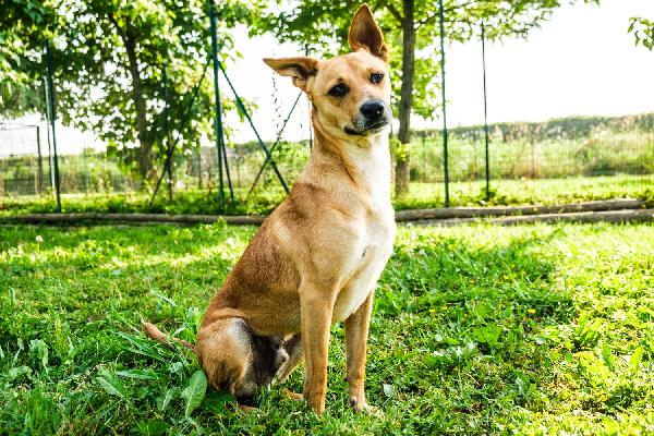 Max Foto 3