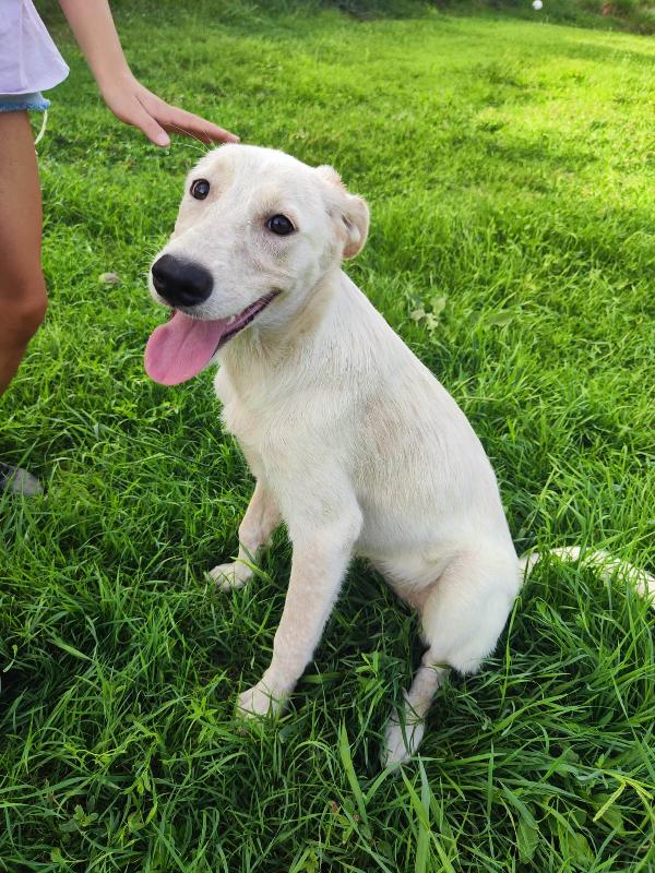 Perla Foto 4