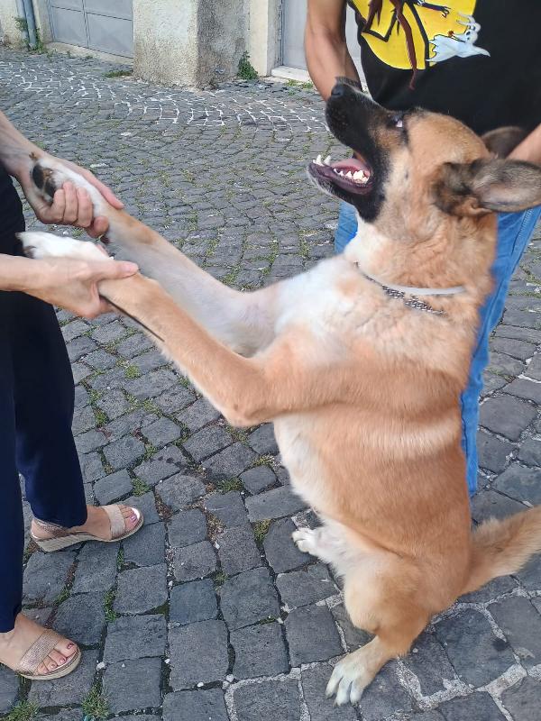 Milik