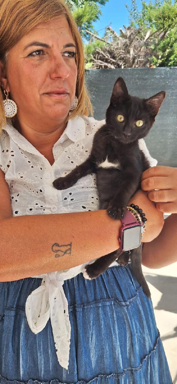 ✨Ozzy✨ Foto 4