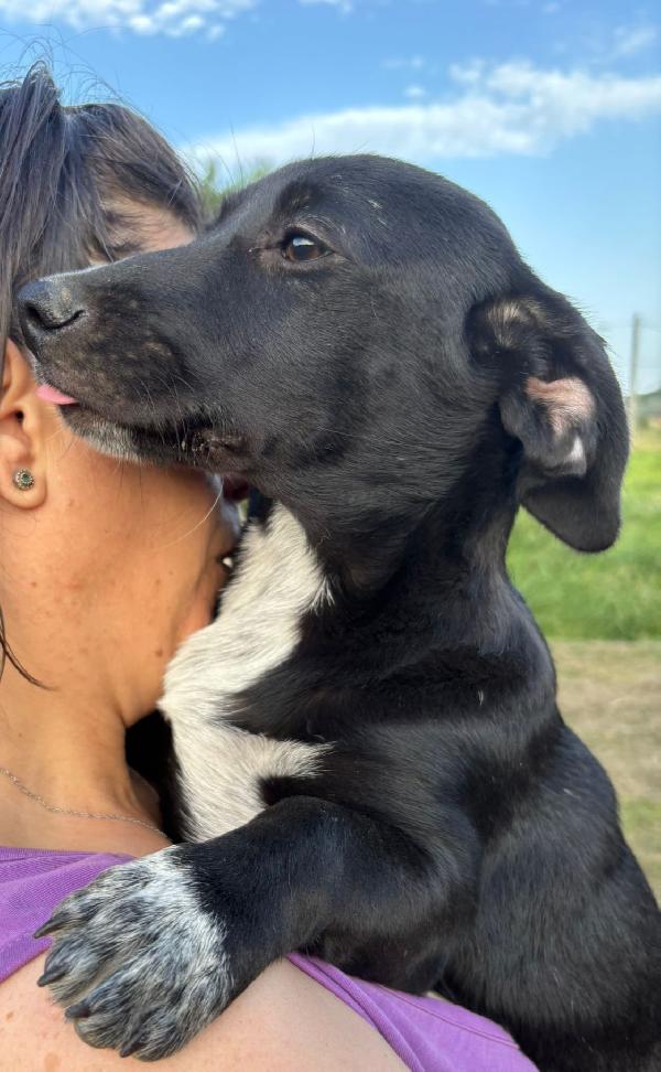 Valentino 👇👇🥺❣️