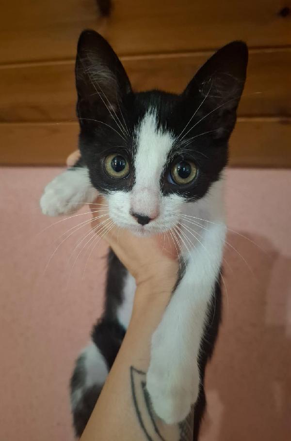 Liala💕 Foto 2