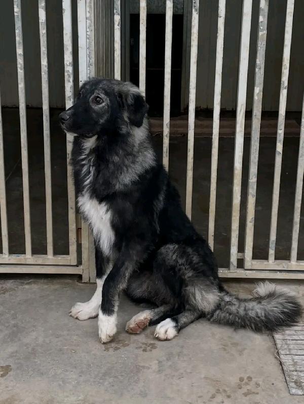 Ofelia Foto 4