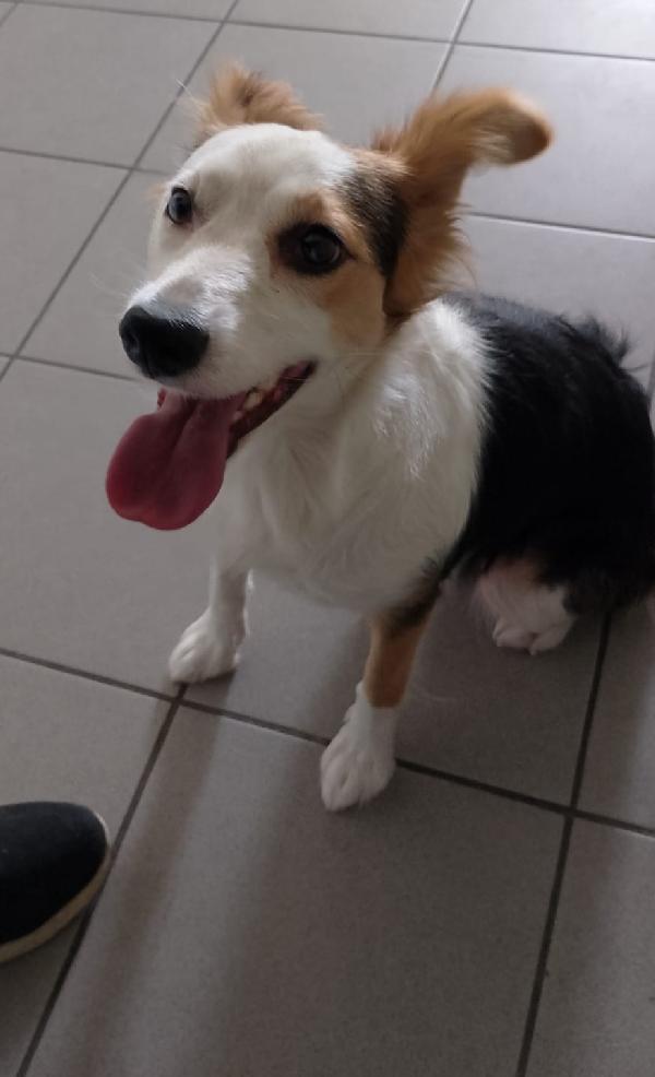 Stella Di Nome E Di Fatto 