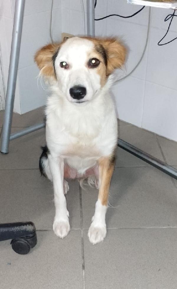 Stella di nome e di fatto  Foto 3