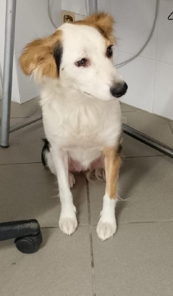 Stella di nome e di fatto  Foto 4
