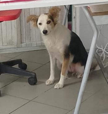 Stella di nome e di fatto  Foto 5