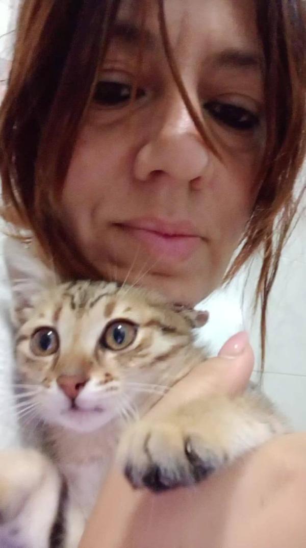 STITCH, tenero cucciolo in adozione ! Foto 8