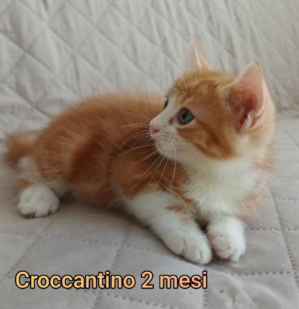 MICINI ESCLUSI DA TUTTI Foto 2