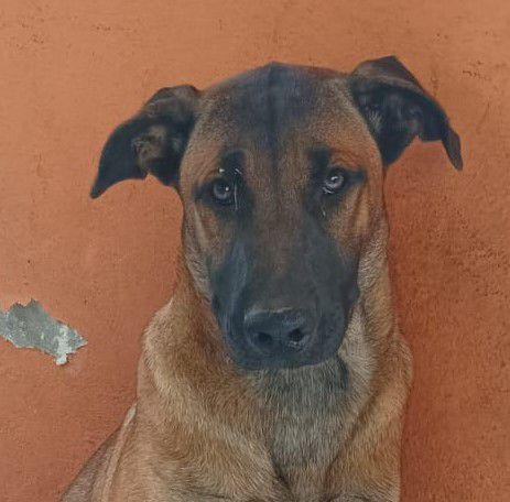KUBA Foto 4