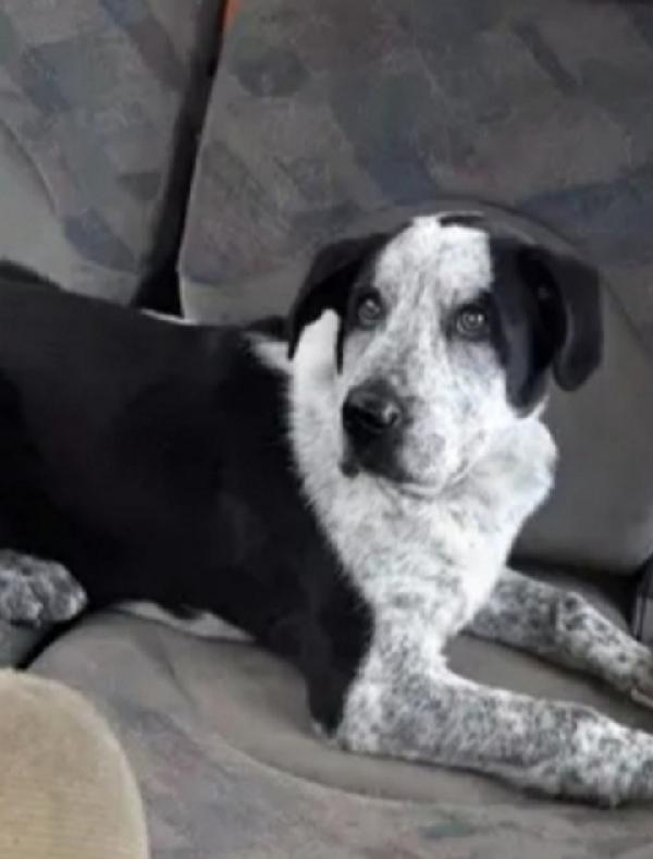 Chris 3Anni Salvato 18Mesi Fa In Montagna