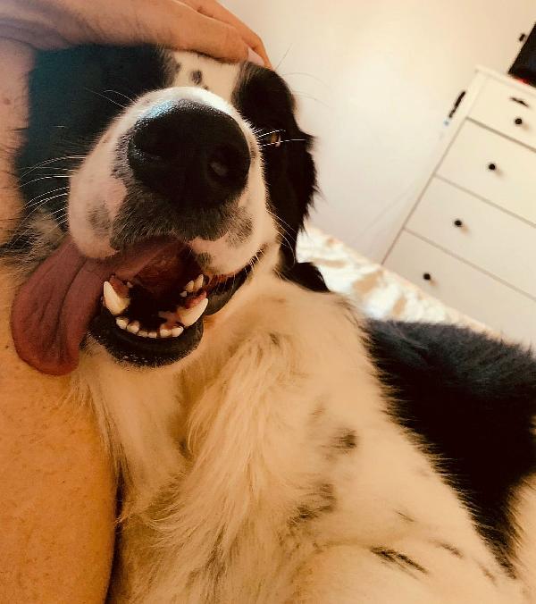 Lillo 3 anni Taglia grande Foto 3
