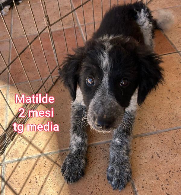 2 MESI: TAGLIE MEDIE!!! Foto 8