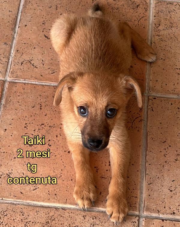 2 MESI: TAGLIE MEDIE!!! Foto 9
