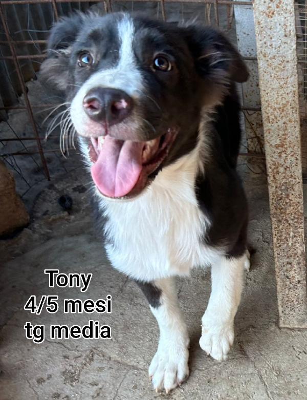 2 MESI: TAGLIE MEDIE!!! Foto 10