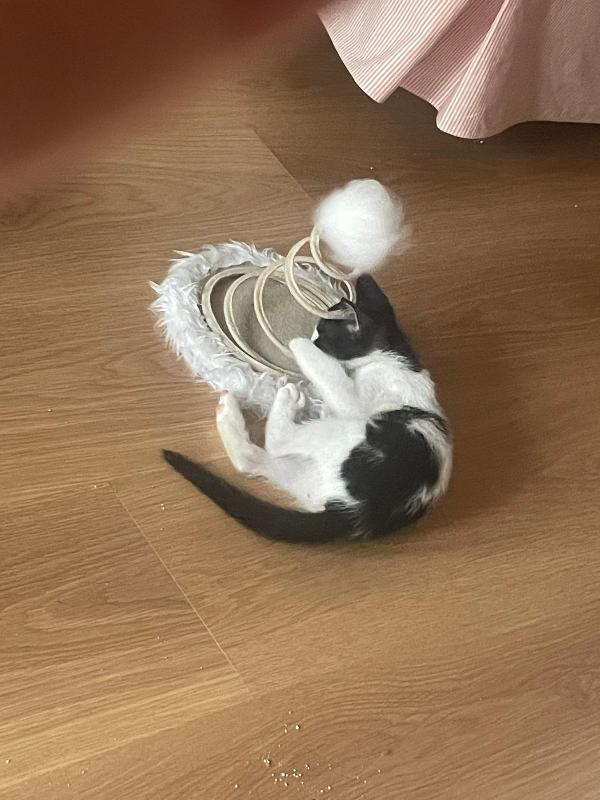 MOMO: 2 MESI Foto 2