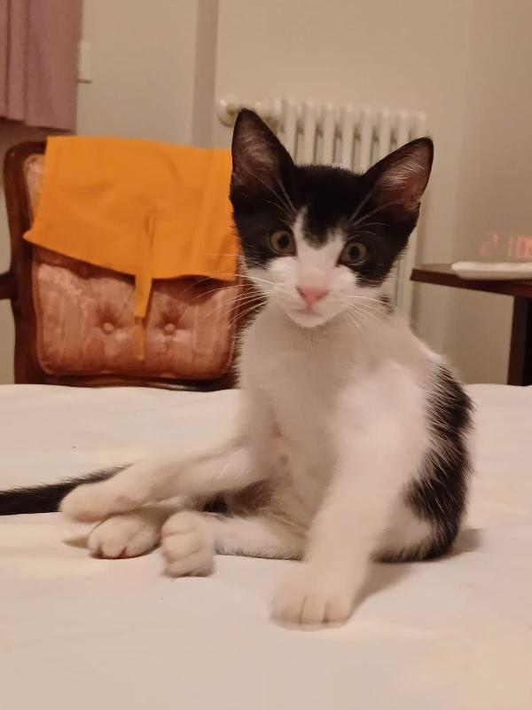 MOMO: 2 MESI Foto 4