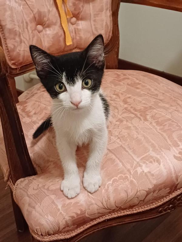MOMO: 2 MESI Foto 6